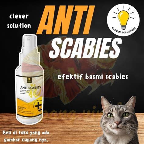 Jual Anti Scabies Obat Jamur Kucing Scabies Ml Clever Solution