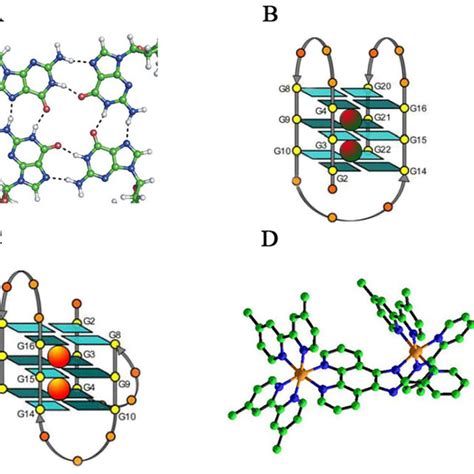 Melting Of The G Quadruplex Assessed By UV Absorbance At 295 Nm