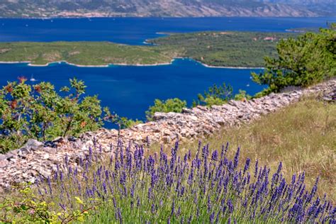 Hvar - the lavender island – Blog — Villas Hvar