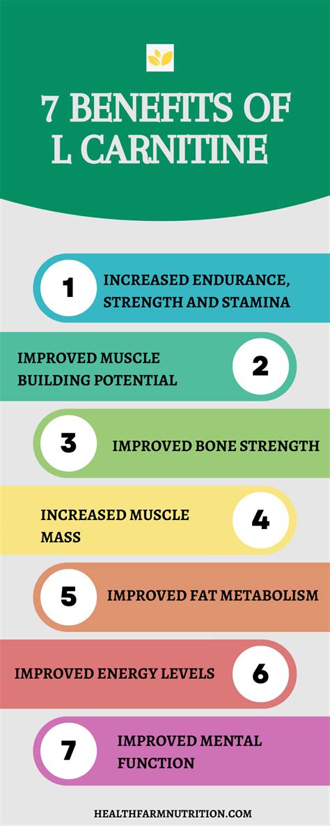 7 Benefits Of L Carnitine Infographics Medicpresents