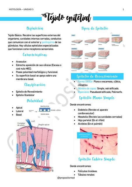 Unidad Tejido Epitelial Jacke Carpes Udocz