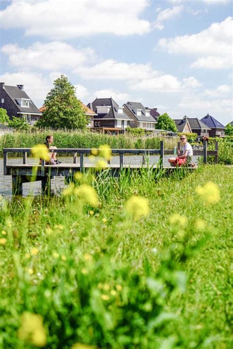 Gouden Griffel Nieuwbouw In Berkel En Rodenrijs