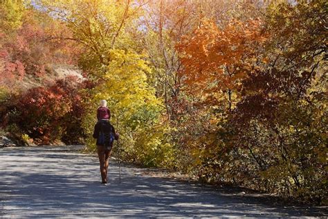 Premium Photo Father With Son On His Shoulders Walking In The Autumn