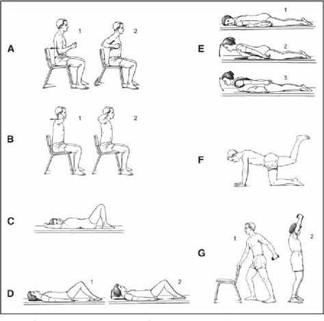 PDF Musculoskeletal Rehabilitation In Patients With Osteoporosis