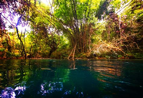 Floating the White River in Ocho Rios Jamaica - relaxing and beautiful