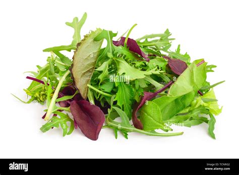 Mix Of Different Salads Isolated On White Background Stock Photo Alamy