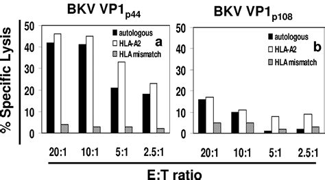 Interplay Of Cellular And Humoral Immune Responses Against Bk Virus In