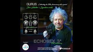 Gurus Echosex 3 10th Anniversary Steve Lukather Signatur Effets Pour