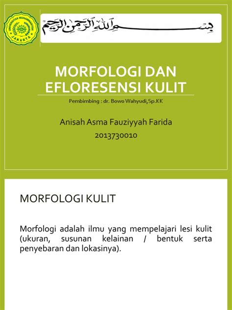 Morfologi Dan Efloresensi Kulit Pdf