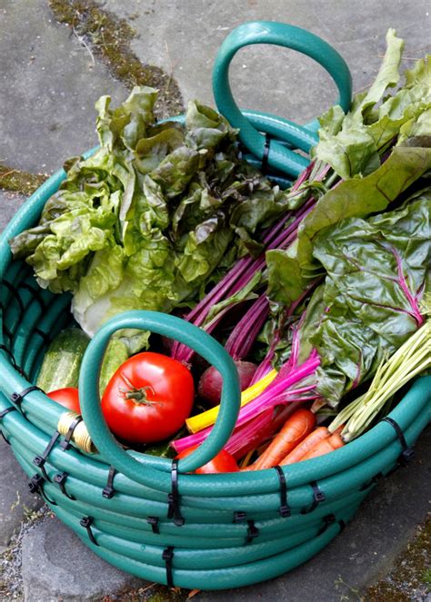 Diy Garden Hose Basket Hgtv