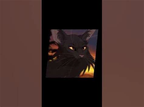 грач коты воители #котывоители . - YouTube