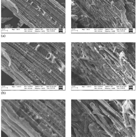 Scanning Electron Microscopy Sem Of Untreated Rice Straw Left And