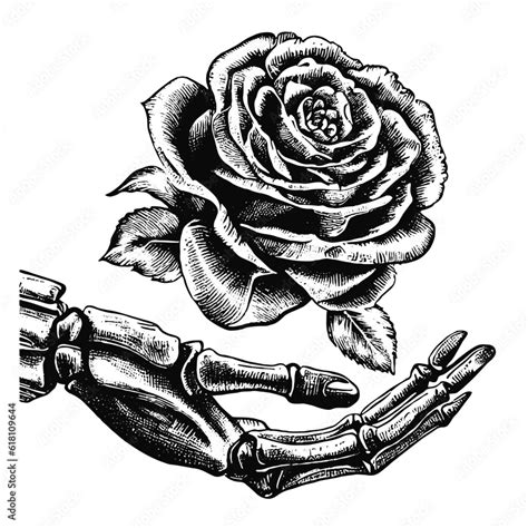 Skeleton Hand And Rose Sketch Stock Vector Adobe Stock