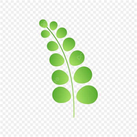 leaf icon vector design leaf icon vector png  vector