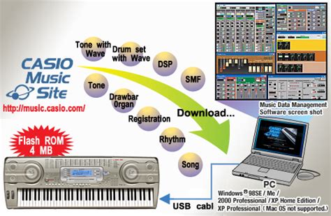 Casio Wk 3800 Usb Midi Driver - bombspecification