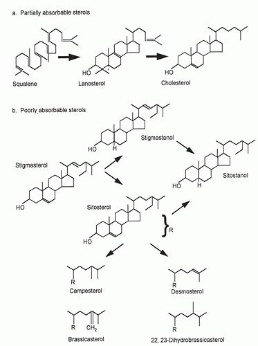 Lipids Sterols And Their Metabolites1 Basicmedical Key