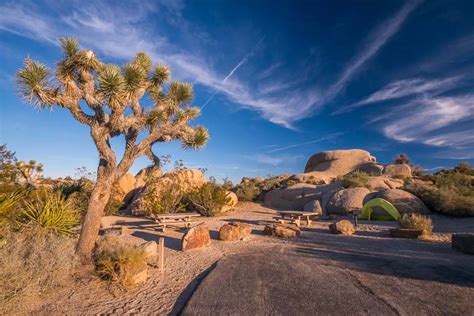 Photos of Jumbo Rocks Campground, Joshua Tree