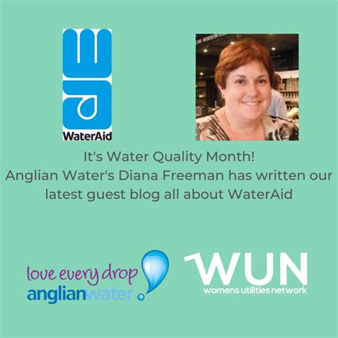 Wateraid Water Quality Month Womens Utilities Network