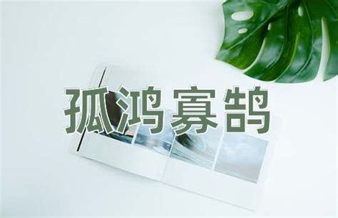 孤鸿寡鹄孤鸿寡鹄的意思、解释和出处 成语词典