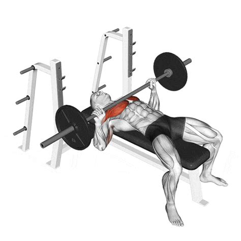 Top 10 exercices de musculation des pectoraux pour des résultats