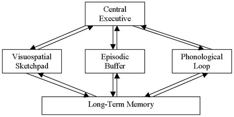 MEMORY Working Memory Model Diagram Quizlet