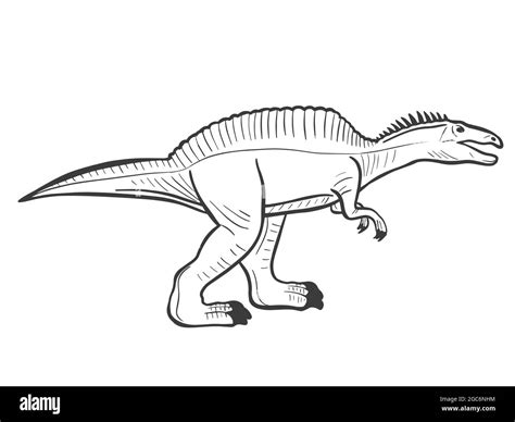 Spinosaurus Sketch Vector Illustration Prehistoric Extinct Animal