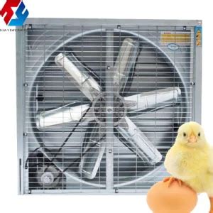 Wall Mounted Motor Direct Drive Industrial Ventilation Exhaust Fan