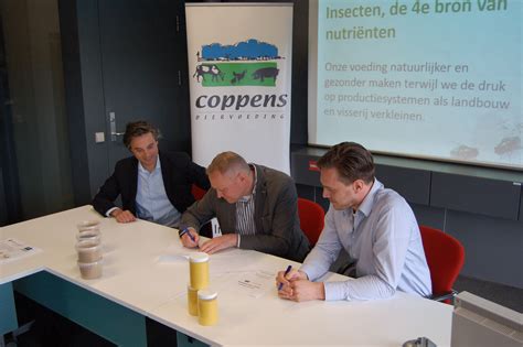 Coppens gaat insecten verwerken in veevoer – V-focus