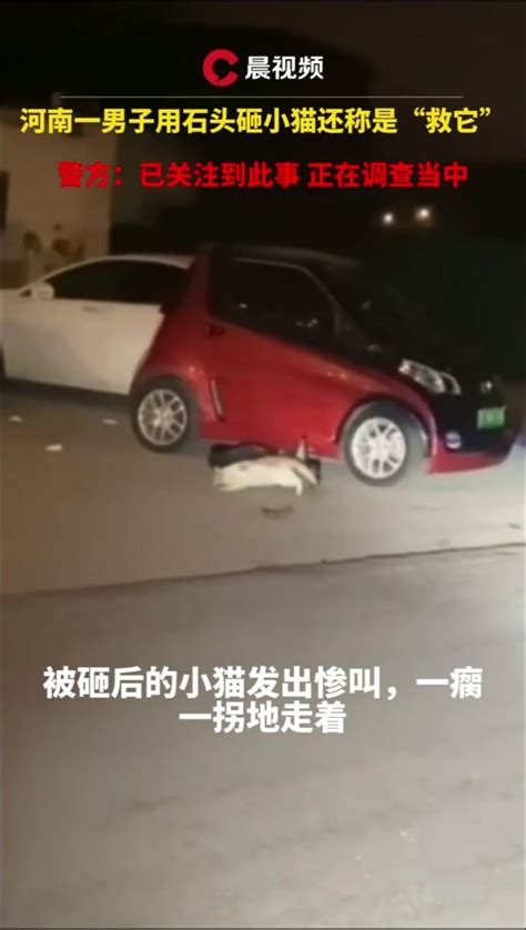 男子用石头砸死小猫还称救它，拍摄者一旁大笑，警方：介入调查凤凰网视频凤凰网