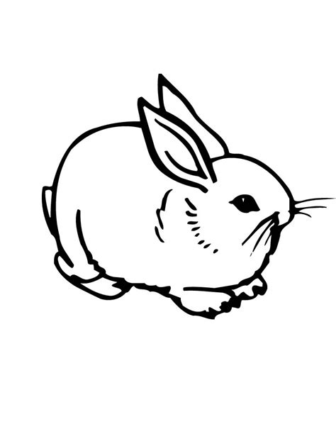 Rabbit Outline Drawing At Getdrawings Free Download