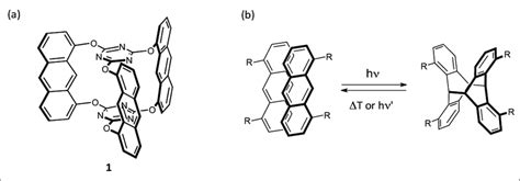 A Molecular Structure Of The Rotor Shaped Double Decker Monomer