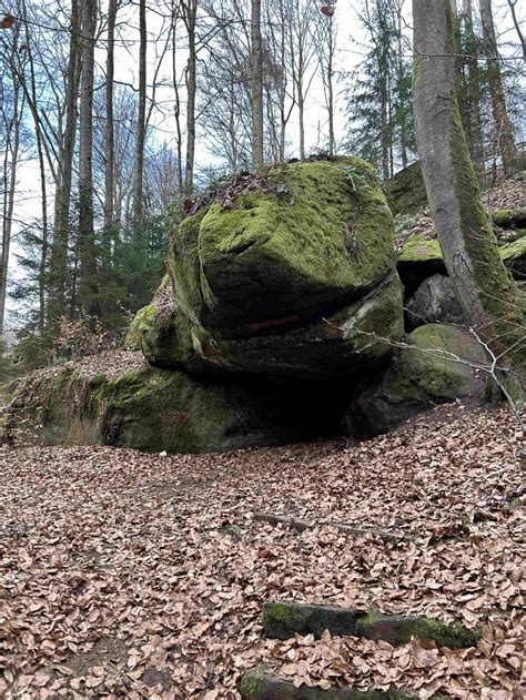 Potret Bentuk Batu Terunik Ada Yang Mirip Dinosaurus