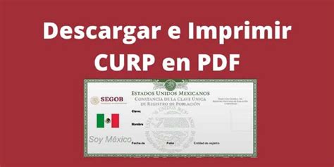 Cómo Descargar Curp Gratis En Pdf Consultar E Imprimir 2024