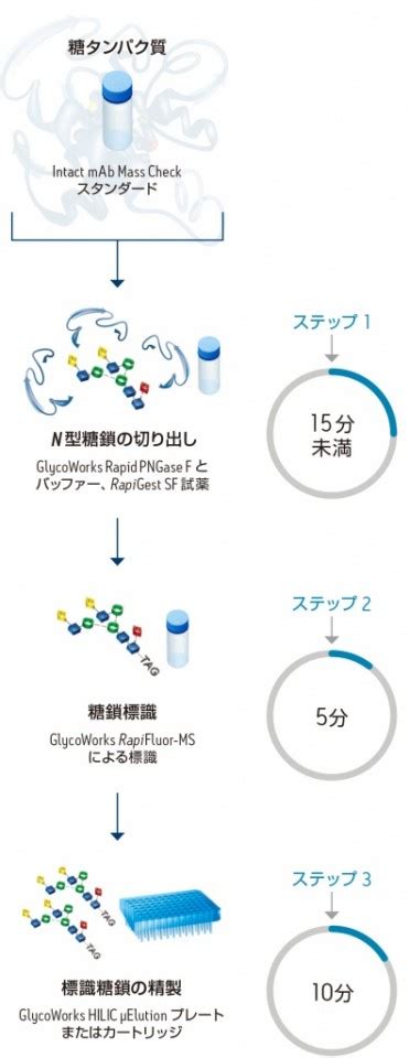 Glycoworks Rapifluor Ms N Jp