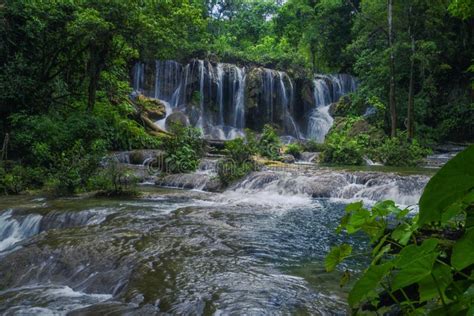 Selva Lacandona Mexique Image Stock Image Du Couleurs 221322233