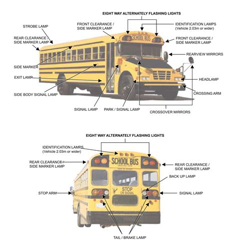 School Bus Dimensions Diagram