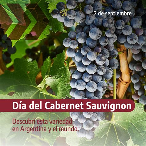 Cabernet Sauvignon 2 De Septiembre Argentinagobar