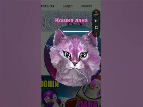 #кошкалана#роблокс Кошка Лана раньше и сейчас - YouTube