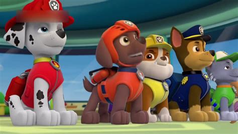 Paw Patrol Season 1 Best Video Youtube