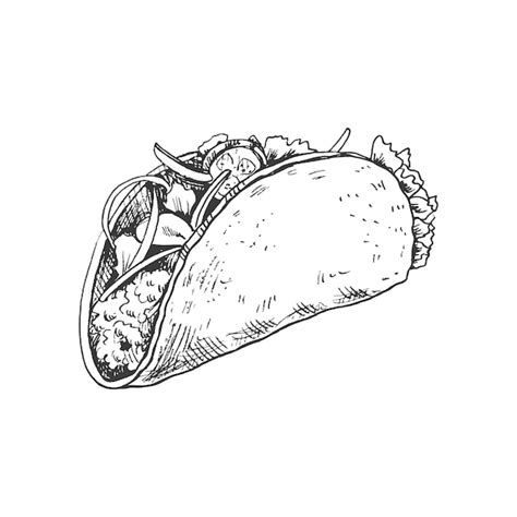 Premium Vector Handdrawn Sketch Of Taco On White Background Fast Food