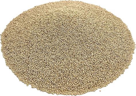 Amazon Backyard Seeds White Millet Bulk Wild Bird Seed Premium