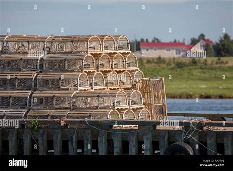 Lobster Traps On A Dock In Newfoundland Stock Photo Alamy