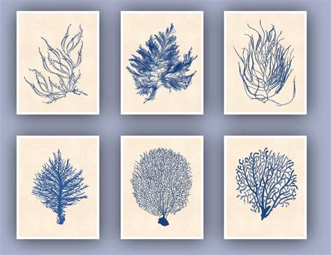 Sea Fan Art 6 Sea Fan Prints Sealife Nautical Art Blue - Etsy