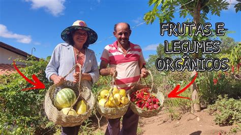 COLHEITA DE FRUTAS E LEGUMES ORGÂNICOS YouTube