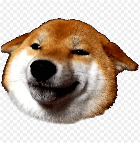 Free Download Hd Png Shiba Inu Face Png Transparent With Clear