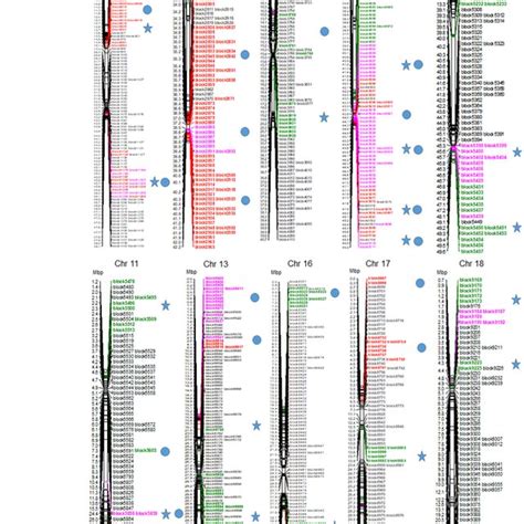 The Positions Of Major Quantitative Trait Loci QTL Associated With