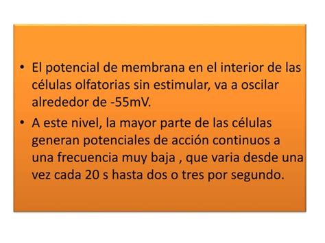 Potencial De Membrana Y Potenciales De Acci N En Las C Lulas Olfatorias