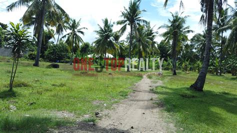 Along The Road Residential Lot For Sale In Cantil E Dumaguete City