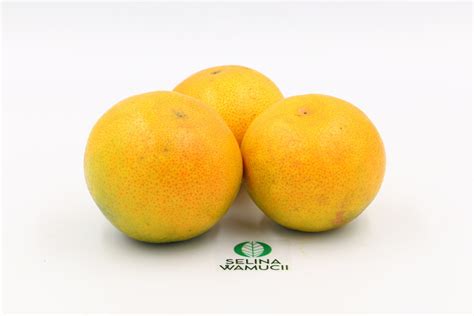 South Africa Oranges Exporters Suppliers Good Market Prices