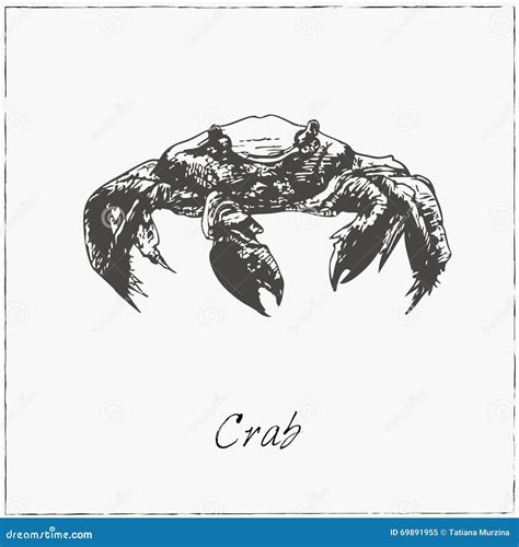 Crabe Croquis Tiré Par La Main Collection De Fruits De Mer Illustration